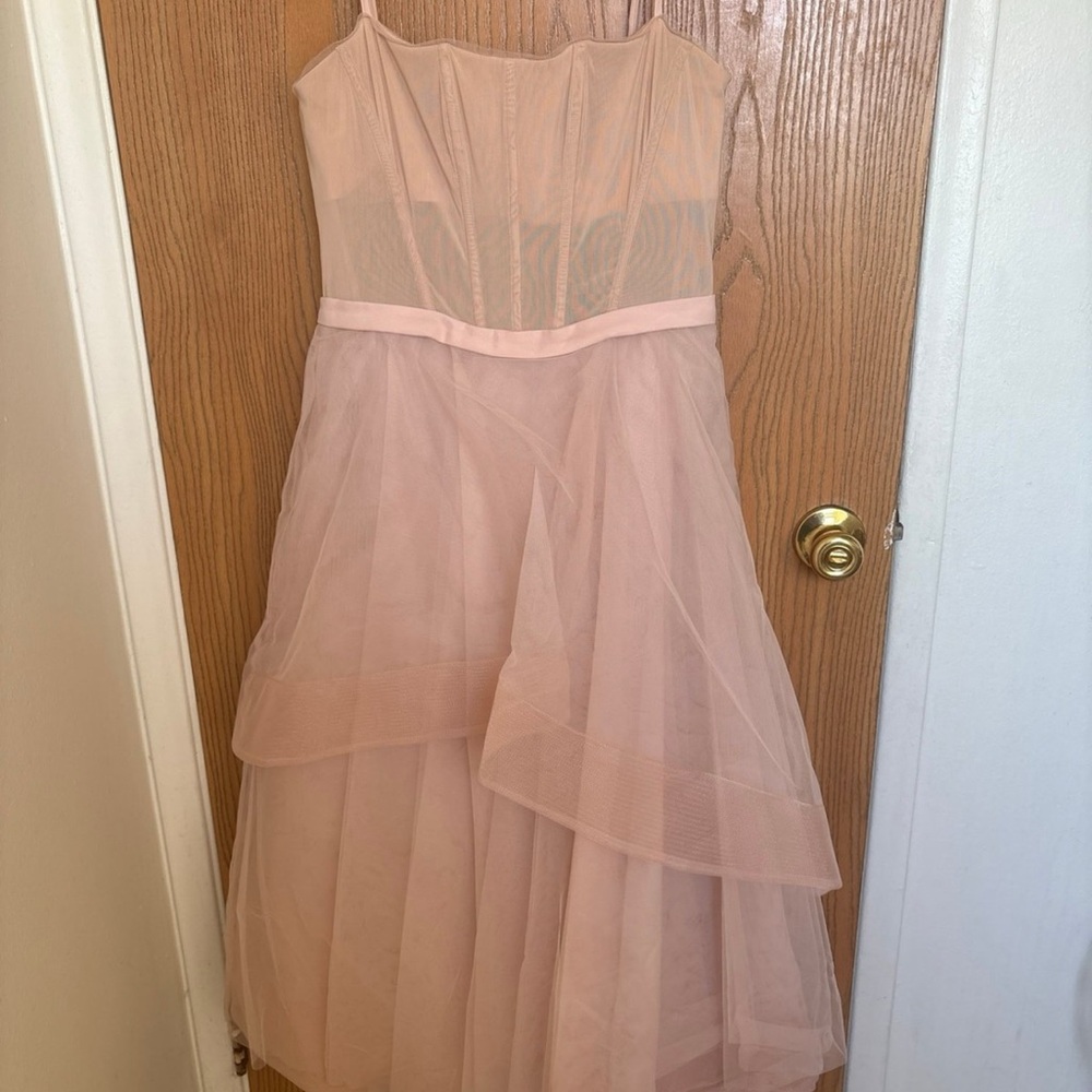 BCBG Blush Pink Tulle Dress